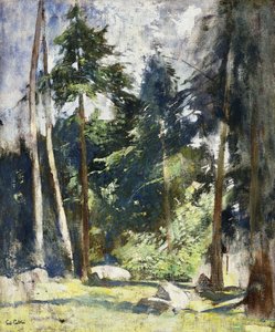 Tall Pines