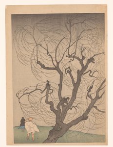 Tree in the Wind