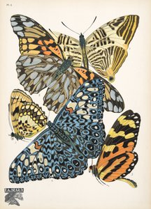 Plate 3, from Papillons, pub. 1925
