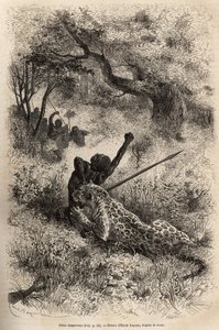 A leopard leaps on a man and bites him cruelly on his back, in the vicinity of Bambare (Congo), engraving after a drawing by Emile Bayard, illustrating David Livingstone
