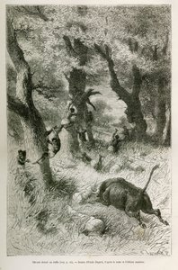 Rout of the Expedition in Front of the Charge of a Buffalo, Drawing by Emile Bayard, to Illustrate the Story: Across Africa, from Zanzibar (Tanzania) to Benguela (Angola), from 1872 to 1876, by Lieutenant V.H.Cameron. Engraving in 
