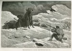 Wild yak hunting scene (Drawing by Emile Bayard) by Emile Antoine Bayard