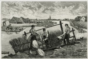 The rust of flax (engraving by Emile Claus, to illustrate the story La Belgique, by Camille Lemonnier) by Emile Claus