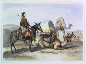 Kafila with a Camel Bearing a Hodesh, illustration from 
