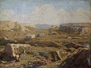 Rocky Landscape