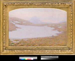 Spring in High Mountain