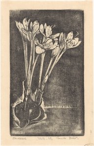 Autumn Crocus by Emilius Wilhelmus Dehé (signed by artist)