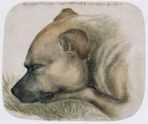 Keeper - from life by Emily Bronte