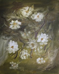 Soft White Blossoms by Emily Tingey