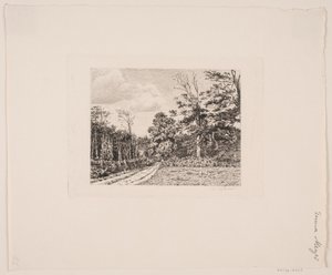 Forest Scene