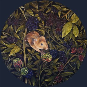 Harvest Mouse, 2021 by Emma Pewsey