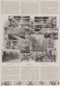 A British Object Lesson
