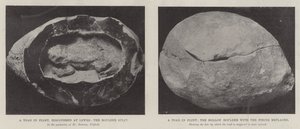 A Toad in Flint by English Photographer