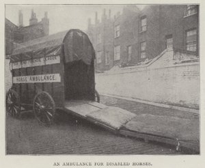 An Ambulance for Disabled Horses