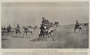 Camel Corps at Wadi Halfeh, Upper Egypt by English Photographer
