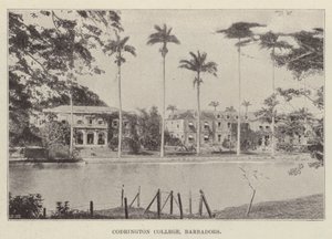 Codrington College, Barbados by English Photographer