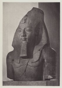 Colossal Head of Rameses II