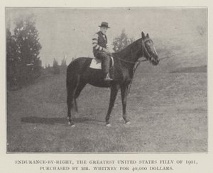 Endurance-by-Right, the Greatest United States Filly of 1901, purchased by Mr Whitney for 40,000 Dollars by English Photographer