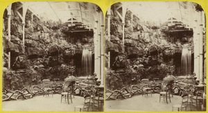 Fernery and waterfall at Brighton Aquarium by English Photographer