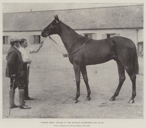 Galtee More, Bought by the Russian Government for £21,000 by English Photographer