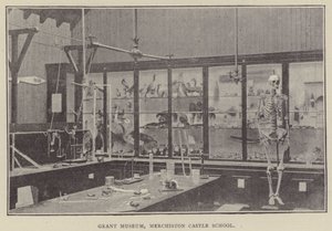 Grant Museum, Merchiston Castle School by English Photographer