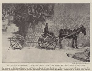 Gun and Gun-Carriage, with Mule, presented by the Queen to the Sultan of Morocco by English Photographer