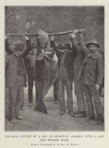 Halibut caught by a Boy at Skagway, Alaska, with a Line and Wooden Hook by English Photographer