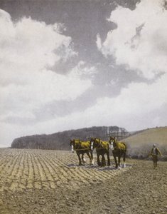 Harrowing in the Spring by English Photographer