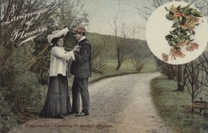 Honeysuckle - Generous and Devoted Affection by English Photographer