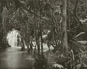 Jamaica: Blue Pool-Roaring River, St Anns by English Photographer