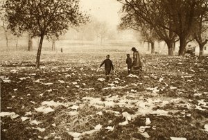 Litter-strewn grass on Hampstead Heath the day after a Bank Holiday, from Wonderful London, published 1926-27 by English Photographer