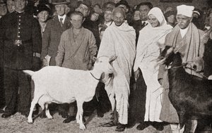 Mahatma Gandhi arrives in London, England in 1931 with his disciple, Madeleine Slade, and his two goats, from The Story of Twenty Five Years, published 1935