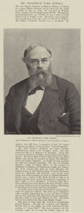 Mr Frederick York Powell, Regius Professor of Modern History at the University of Oxford by English Photographer