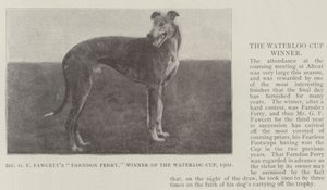 Mr G F Fawcetts Farndon Ferry, Winner of the Waterloo Cup, 1902 by English Photographer