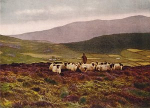On the Mountains of Mourne, County Down by English Photographer