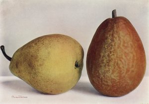 Pears, Emile d