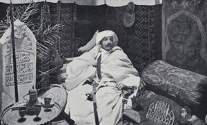 Pierre Loti in his Study by English Photographer