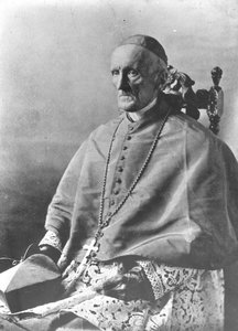 Portrait of Cardinal Manning