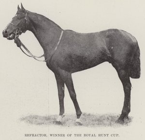 Refractor, Winner of the Royal Hunt Cup by English Photographer