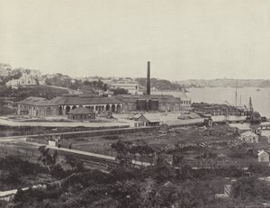 Sunlight Soap Company