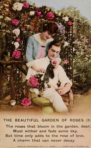 The Beautiful Garden of Roses