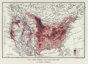 The Chief Wheat-Growing Regions, North America by English Photographer
