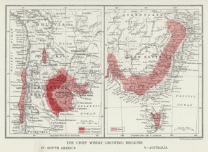 The Chief Wheat-Growing Regions, South America, Australia by English Photographer
