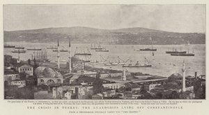 The Crisis in Turkey, the Guardships Lying off Constantinople by English Photographer