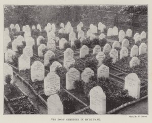 The Dogs Cemetery in Hyde Park by English Photographer