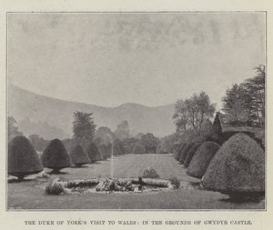 The Duke of York