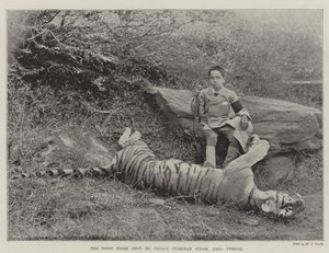 The First Tiger shot by Prince Bughwan Singh, Aged Twelve by English Photographer