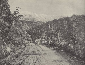 The Huon Road by English Photographer