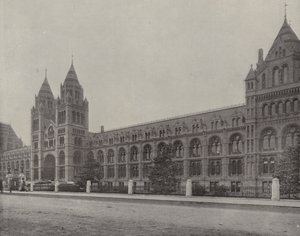The Natural History Museum