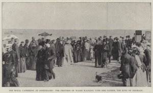 The Royal Gathering at Copenhagen, the Princess of Wales walking with her Father, the King of Denmark by English Photographer